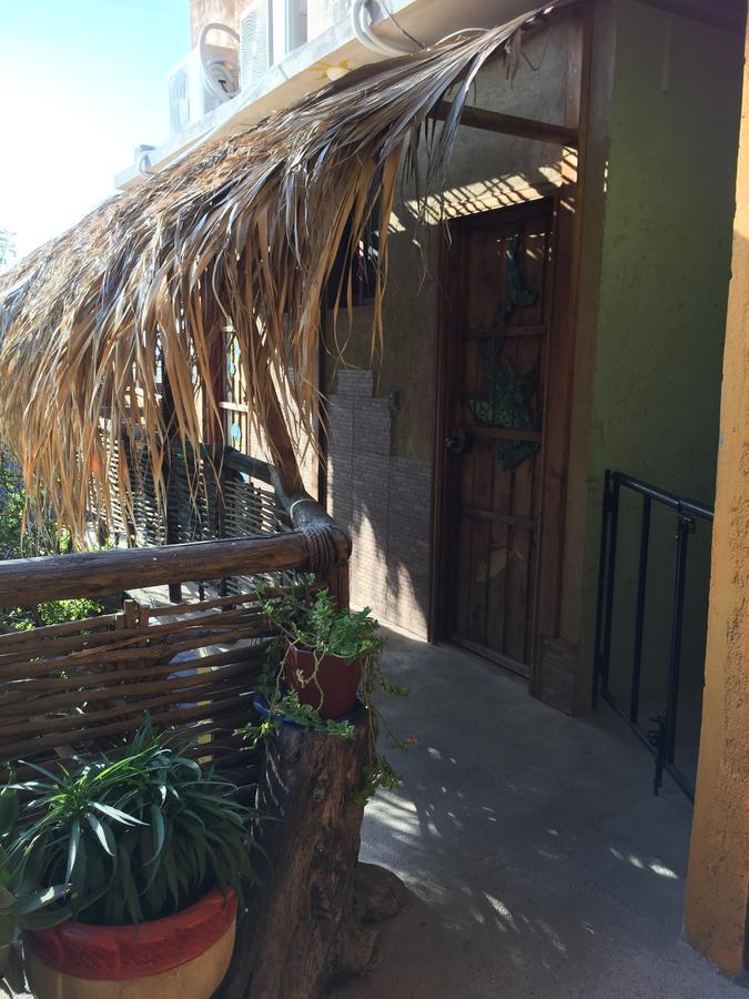 Baja Paradise Hotel