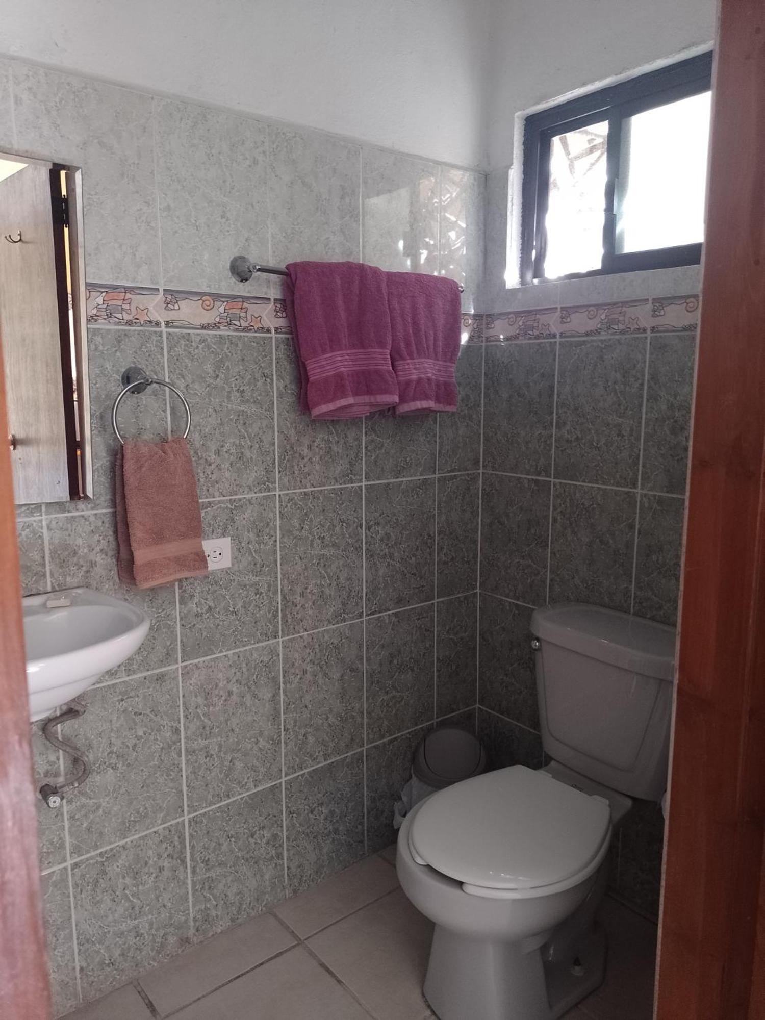 Baja Paradise Hotel 3*